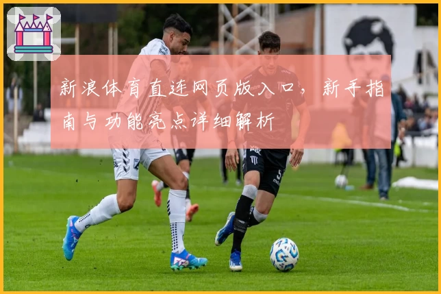 新浪体育直连网页版入口，新手指南与功能亮点详细解析