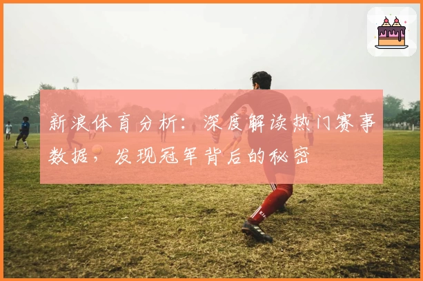 新浪体育分析：深度解读热门赛事数据，发现冠军背后的秘密