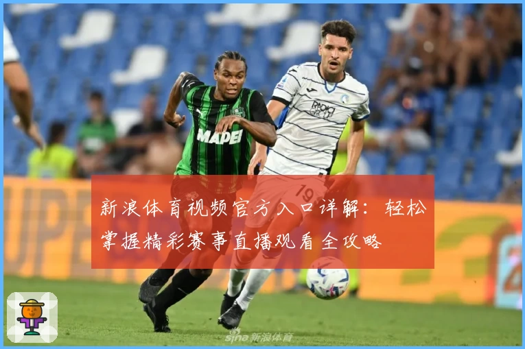 新浪体育视频官方入口详解：轻松掌握精彩赛事直播观看全攻略