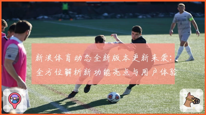 新浪体育动态全新版本更新来袭：全方位解析新功能亮点与用户体验升级