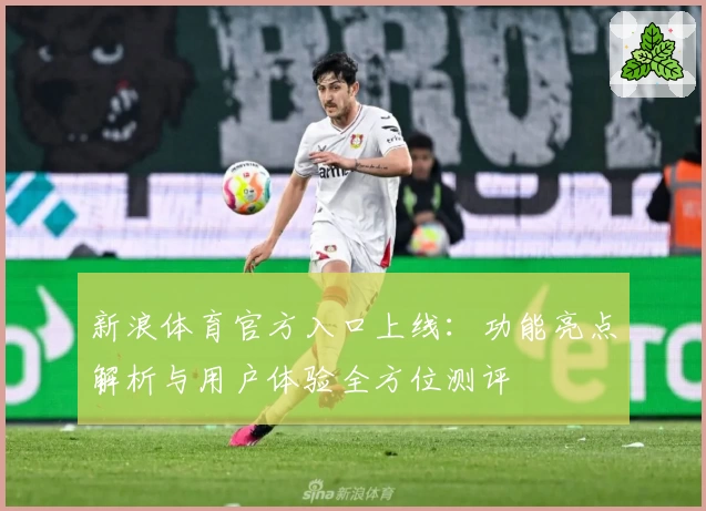新浪体育官方入口上线：功能亮点解析与用户体验全方位测评