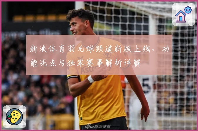 新浪体育羽毛球频道新版上线，功能亮点与独家赛事解析详解