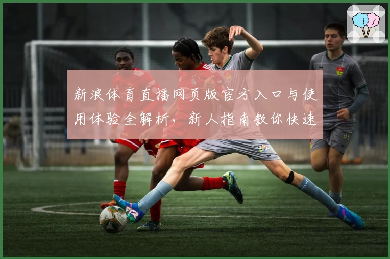 新浪体育直播网页版官方入口与使用体验全解析，新人指南教你快速上手